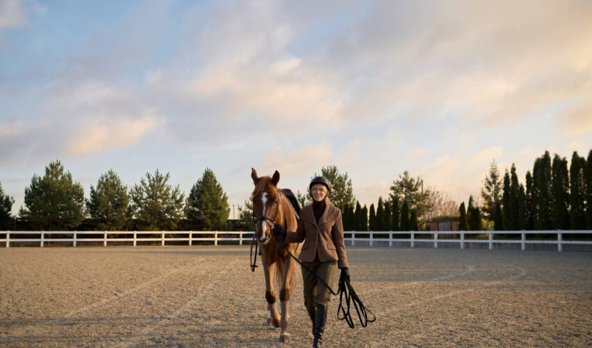 livellamento-terreno-maneggi-mara-laser